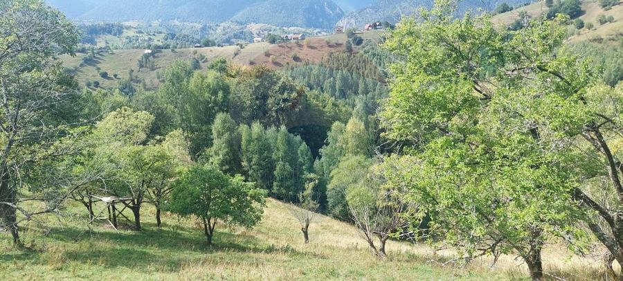 Teren de vânzare | Măgura, Brașov | Oportunitate de Investiție