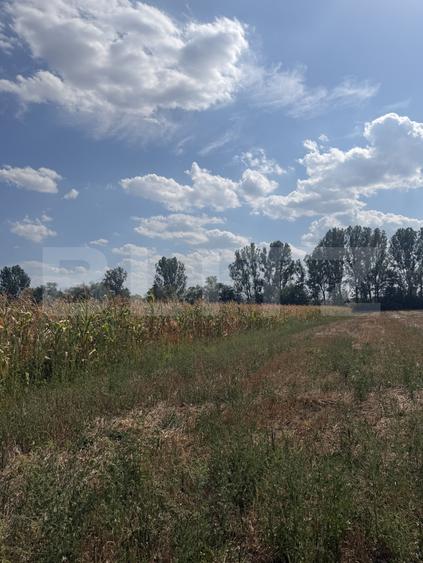 Teren extravilan, 9000 mp, zona Nusfalau