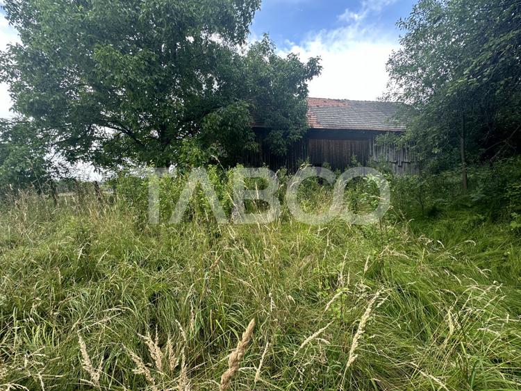 Casa 3 camere 5335 teren liber garaj si anexe in Sinca Veche