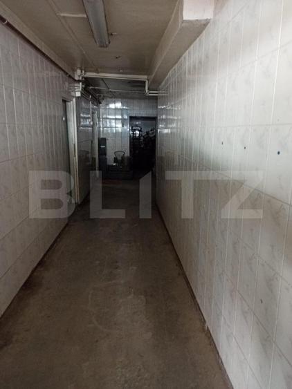 Hala industriala, 5 camere, 895mp, Sangeorgiu de Mures