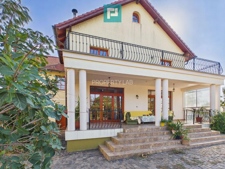 Vilă cu arhitectură deosebită în Aradul Nou - 20
