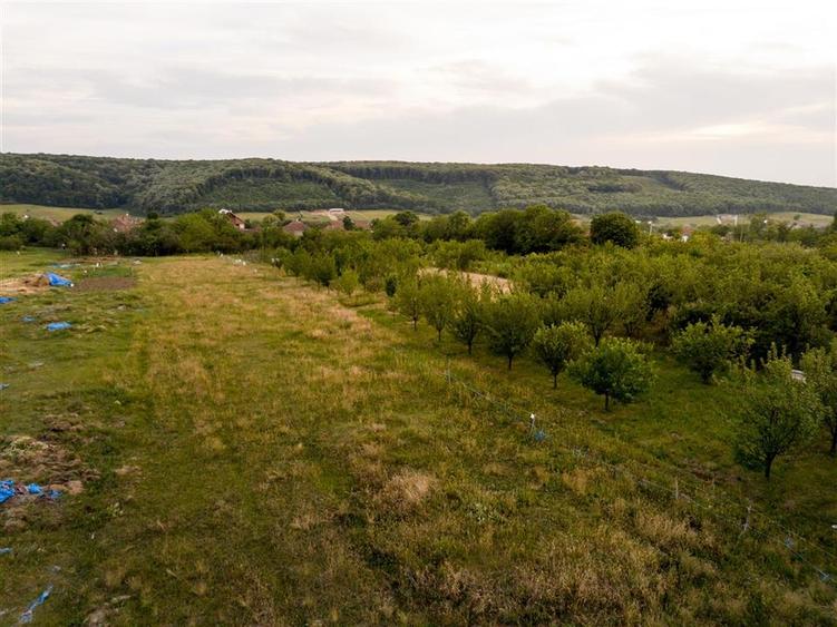 RECO Teren intravilan de vanzare Betfia, Bihor - 3000 mp, front stradal 20 m