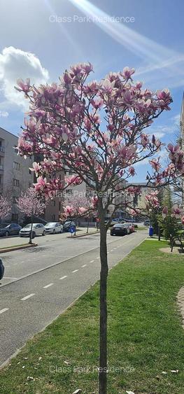 Apartament 3 camere NOU Targoviste Class Park Residence