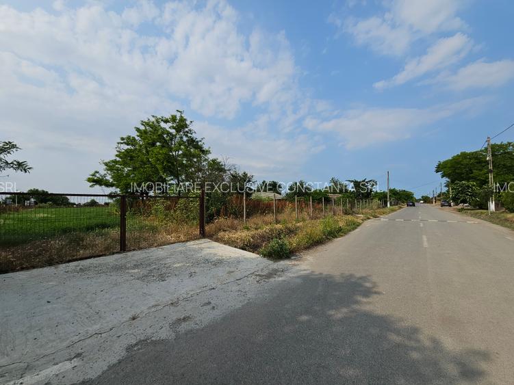 Teren 5.465 mp intravilan și front stradal – Topraisar, Constanța Comision Zero - 9