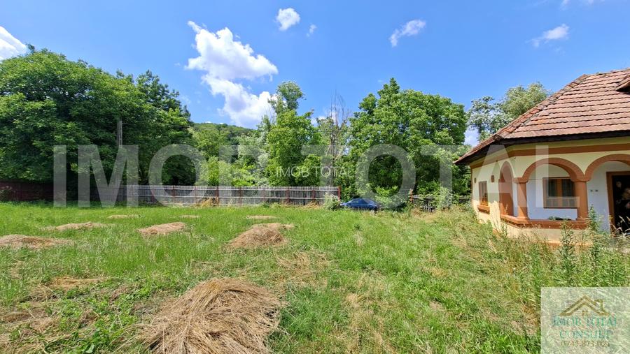 Casă cărămidă renovată, 3 camere, teren 1100 mp – Băjești, Argeș - 3