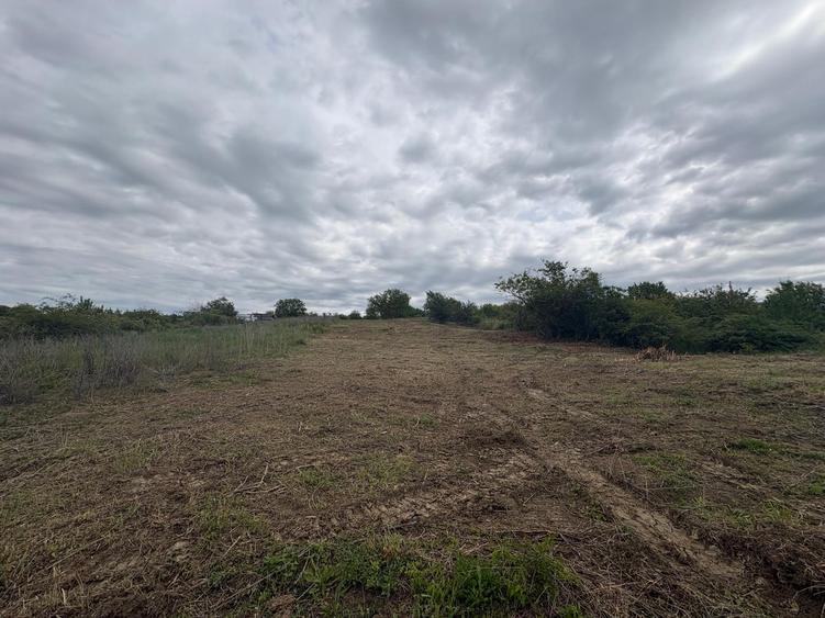Teren Intravilat 15 ari Livada Meses ptr constructii 127.500eur