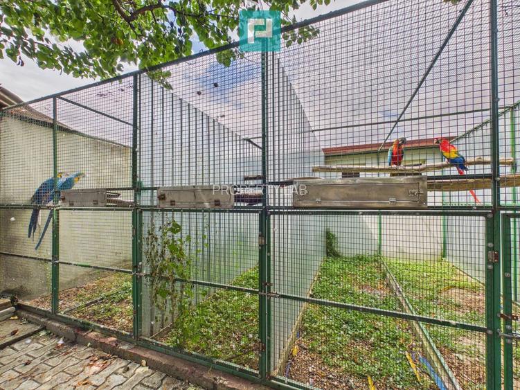 Casă cu 4 camere și teren de 1.910 mp în Macea - 26