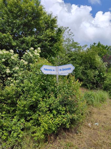 Teren de vanzare aproape de Muzeul Satului Banatean - Giarmata Vii - 2