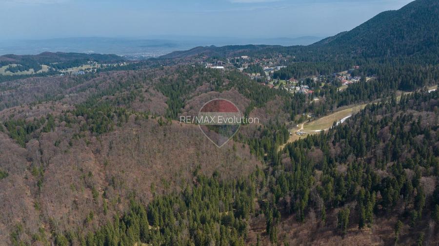 Teren intravilan, 56000 mp, Poiana Brașov - 14