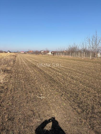 S.C Vimak Imobiliare vinde teren intravilan Stupini. - 3
