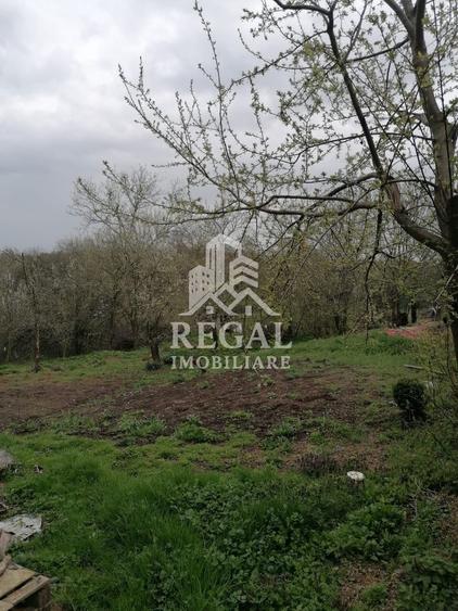Casă de vânzare în Cerisor – liniște, natură și teren generos!