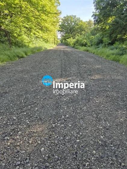 Teren si Duplex pe 850 mp, in Padurea Ciurbesti Miroslava, Iasi - 5