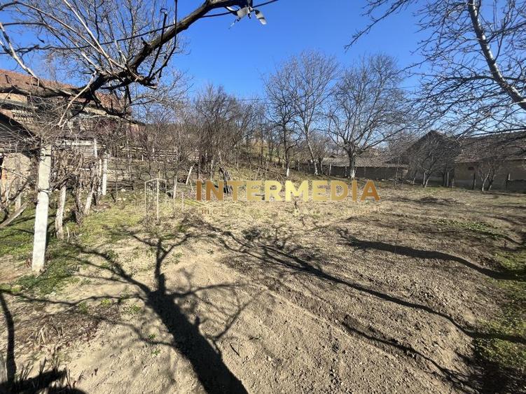 OKAZIE! Casa in Cricau 3 Camere 1300 mp. Curte Teren Fantana Utilitati Asfalt