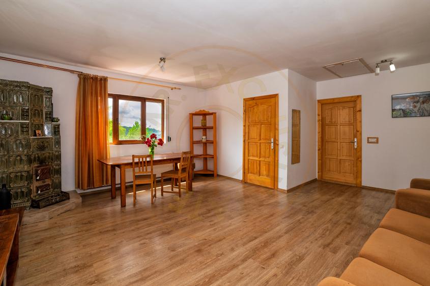 Casa moderna si casa bunicii + 6300 mp teren, Oaza autentica in Corbi Arges