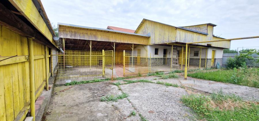 Casă cu 5 camere, teren 1.326 mp, Săvinești, Neamț