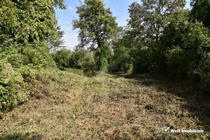 Casa demolabila in sat Gheorghieni (com Feleacu) teren 1547mp intravilan