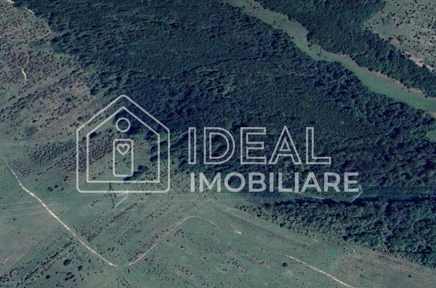 Pădure matură 12,71 ha - Mag, jud. Sibiu - potențial exploatare 2025