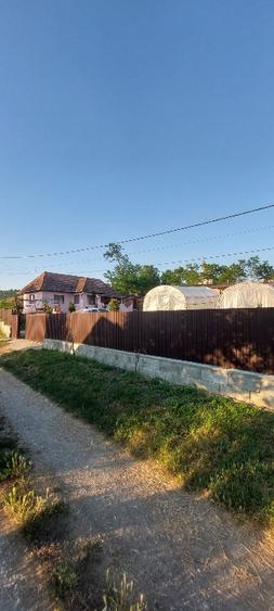 Casa de vanzre Visinelu Mures
