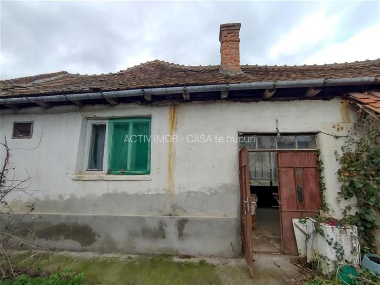 Bogodint, Casa cu 4 Hectare Teren, Pret Negociabil - 33