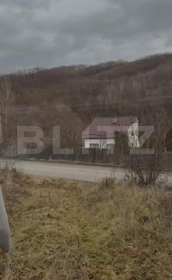 De vanzare Teren extravilan 3300mp - padure, loc. Salicea, jud. Cluj