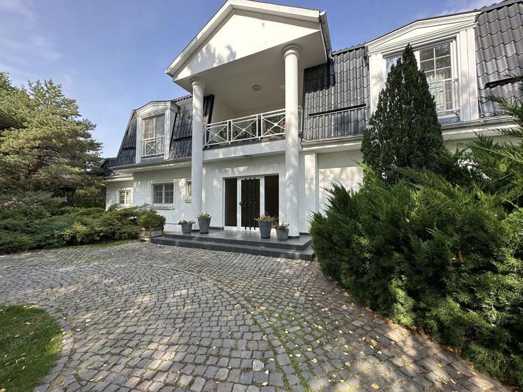 Vila individuala, teren 3000 mp, Iancu Nicolae
