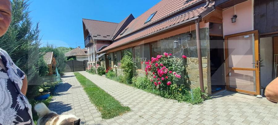 Conac modern cu saună, ciubăr și seră, 1.500 mp grădină – sat Dridif - 16