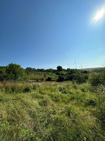 Teren de vanzare in Feleac, Intravilan