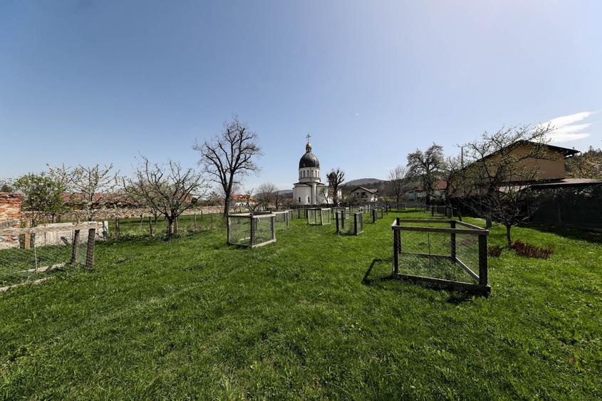 Casă Săsească Autentică cu Șură Impresionantă în Cristian – Teren 2729mp