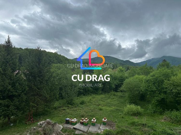 Investiție cu suflet: Pensiune de vânzare pe Valea Avrigului - 11