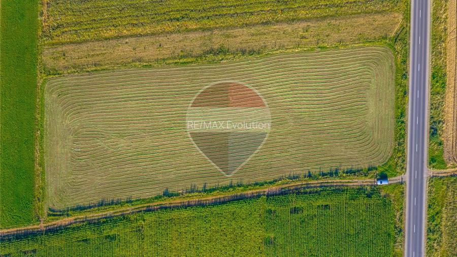 COMISION 0% | Teren intravilan 7.500 mp | Tarlungeni, Brasov - 9