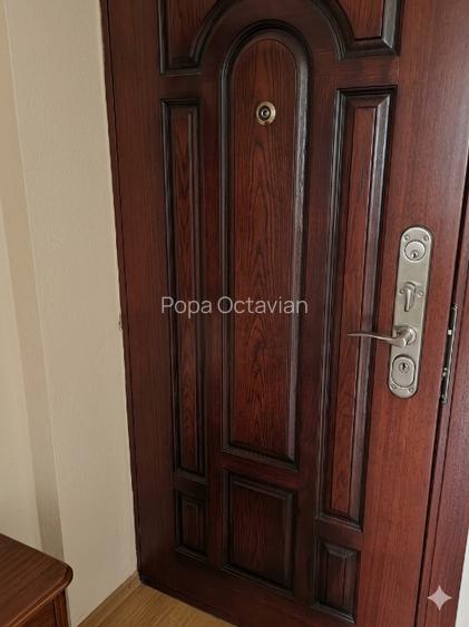 Apartament 2 camere etaj 2, pozitie exceptionala vis-a-vis de parcul Avram Iancu - 2