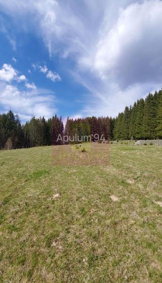 Teren intravilan 2500 mp in Valea Doftanei - 4