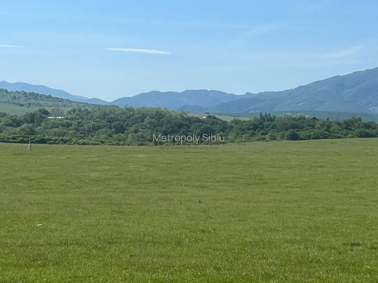 Teren intravilan 646 mp Calea Cisnădiei – Str. Zorilor- deschidere la 2 drumuri - 8