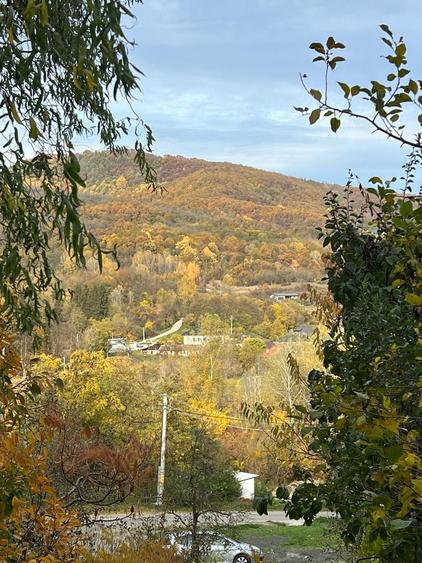 Spre vanzare cabana+ teren intravilan 1050mp-zona Pausesti Maglasi