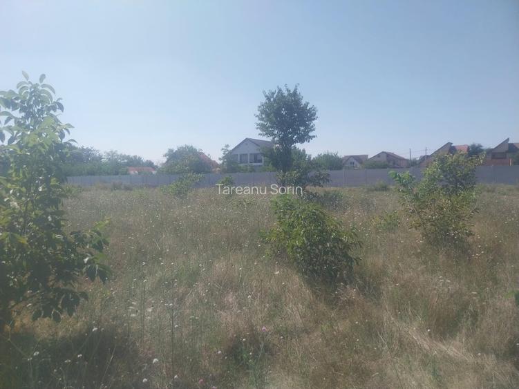 Drumul Targului -Domnesti -loturi de casa direct proprietar - 6