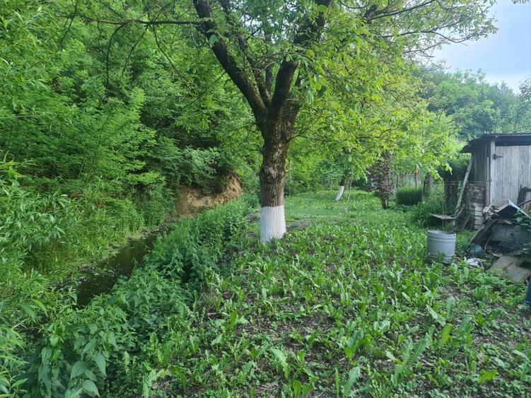 Vand  casa cu gradina