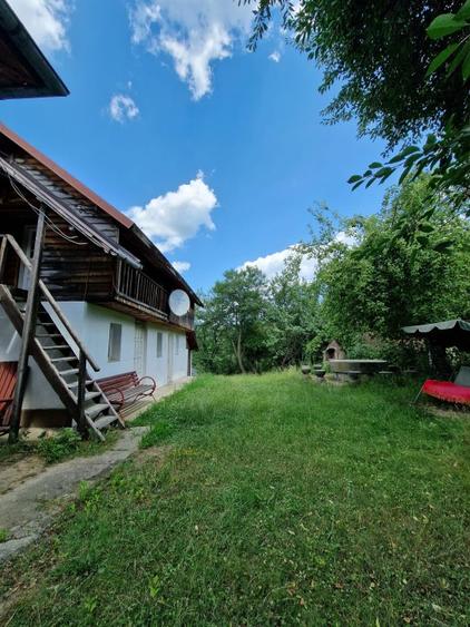 Balilesti - Stradal, casa spatioasa, 4600 mp teren intravilan - curte spatioasa