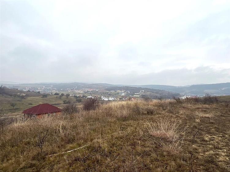 Teren Extravilan Sigmir