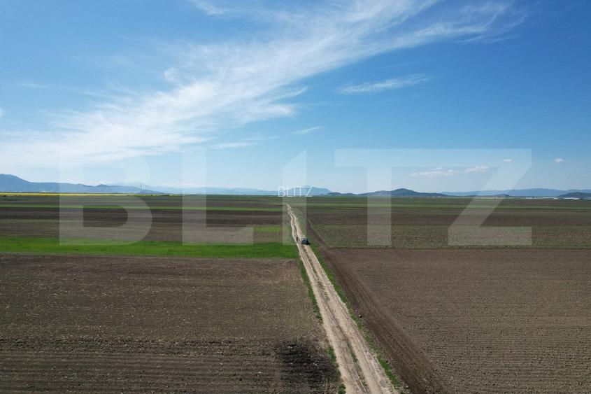 Teren extravilan, 17700mp, zona Prejmer - 6