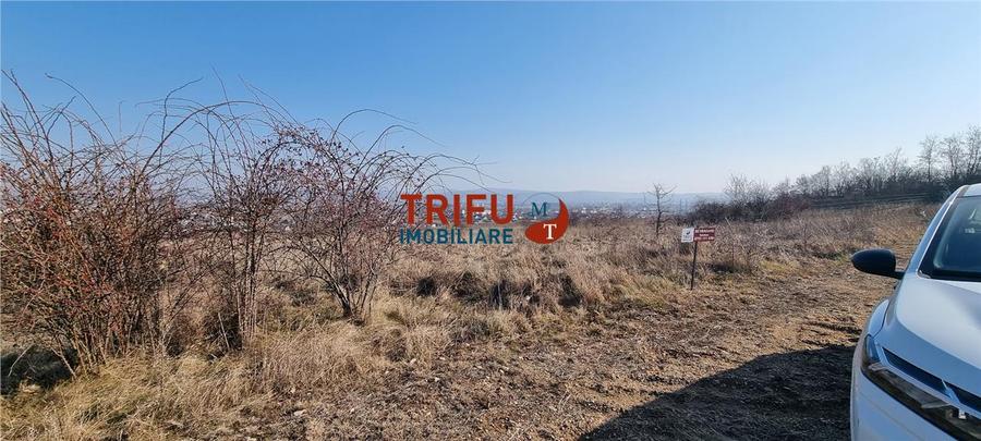 Teren Intravilan cu Priveliste Spectaculoasa în Alba Micesti - 660 mp