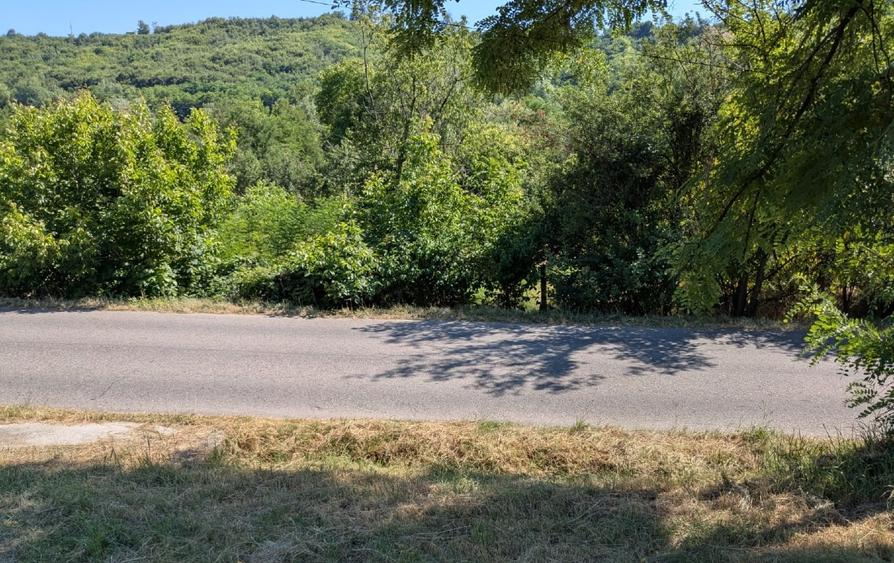 Tutana-Curtea de Arges, 10min. de A1, 1385mp., desc.50m, asfalt, electricitate