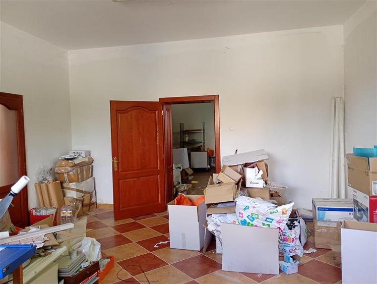Hala industriala + Casa+ 9650 mp teren