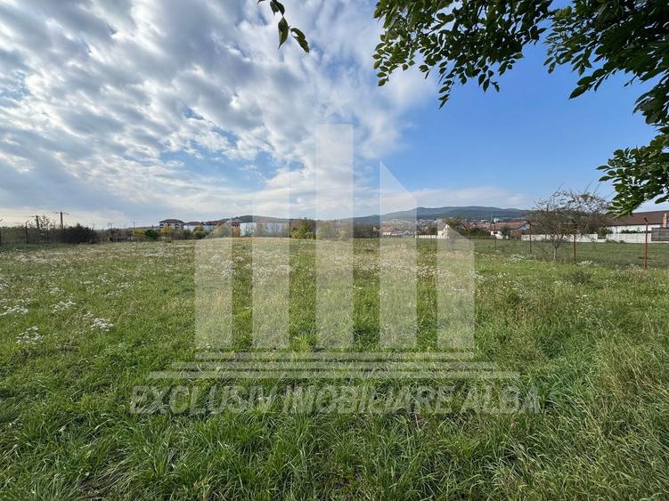 Teren intravilan | De vanzare | 5841 mp | 38 ml deschidere | Cetate