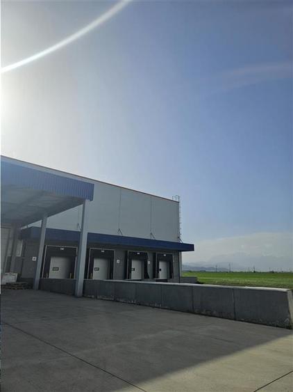 Spatii Industriale - 15000 mp - Logistica - Depozitare - Productie