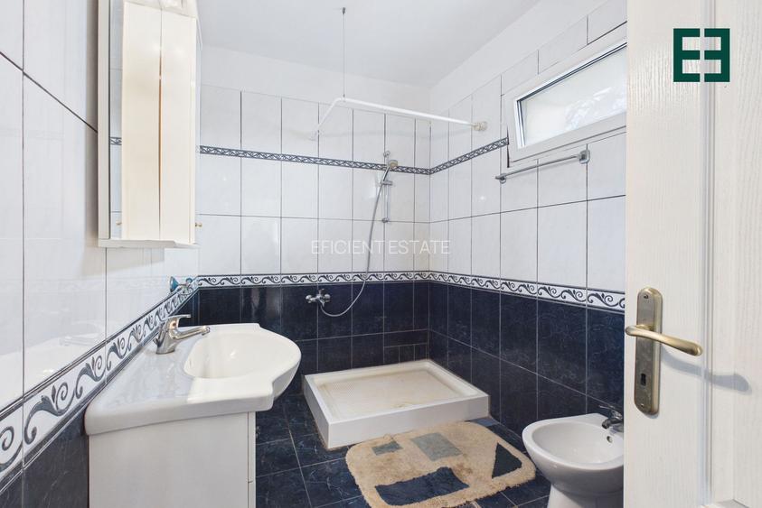 Teren de 8.632 mp + Proprietate Industrială - Voiteg - Județul Timiș - 12