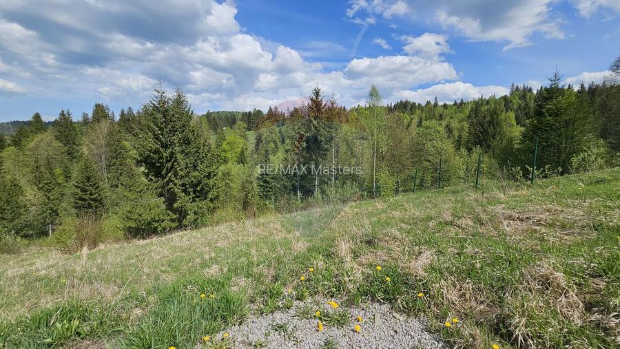 Teren 4048mp Campulung Moldovenesc, Strada Izvorul Alb, Suceava - 8