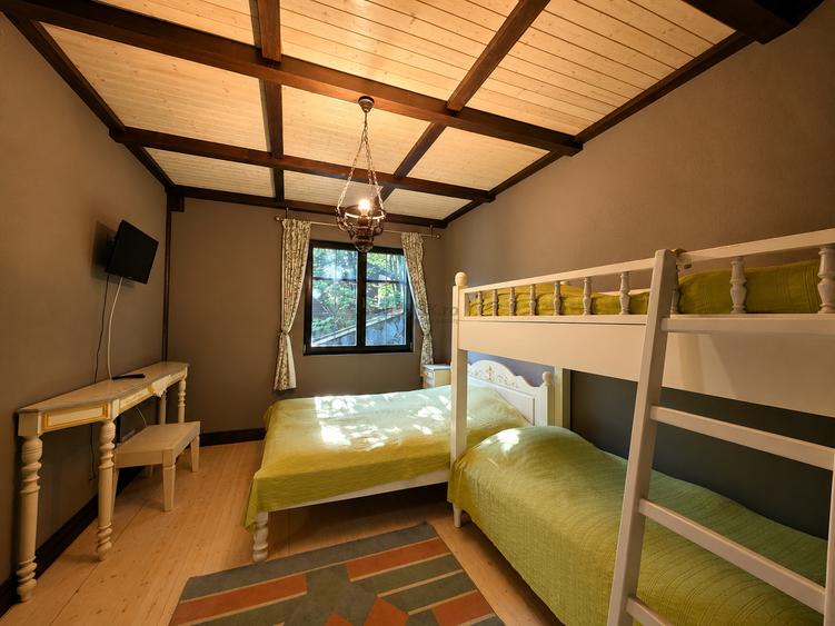 Mountain Chalet | Private Resort | Investment - Nistoresti