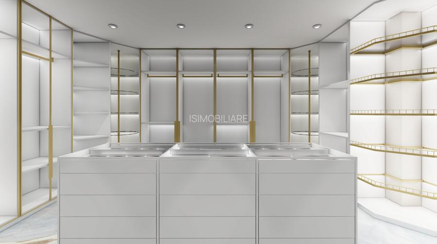 Penthouse  Parc Herastrau Parc Bordei 4 camere - 16