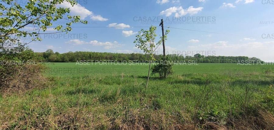 3 loturi de teren langa padure langa lacul Colacu, Dambovita - 4