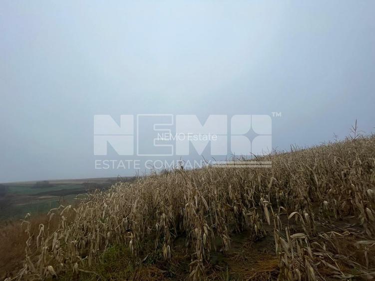 TEREN EXTRAVILAN | DOUA PARCELE 2.84 HA| DARMANESTI - 14